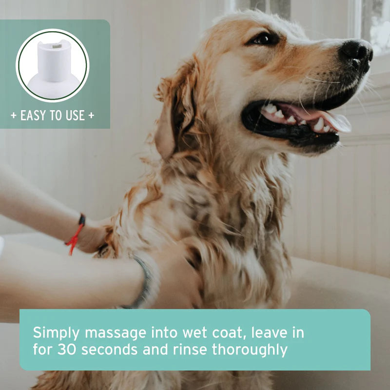 Dog being groomed with a product labeled 'EASY TO USE' and instructions on how to use it.