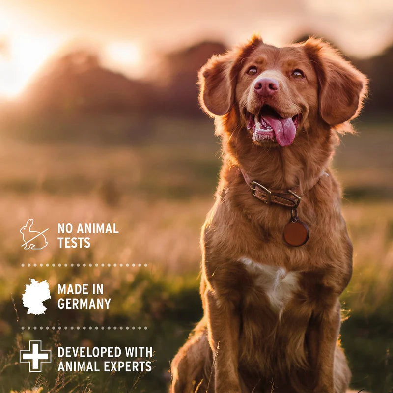 Dog grooming products - not tested on animals
