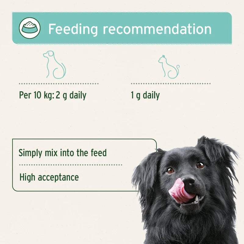 Feeding recommendation chart for a dog with a black dog licking its lips on a white background.