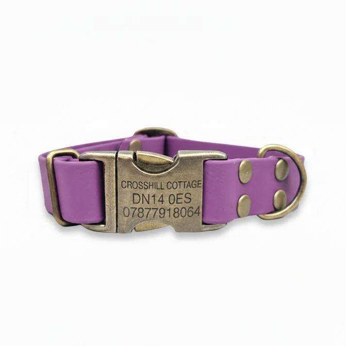 Waterproof biothane grape clasp collar engraving