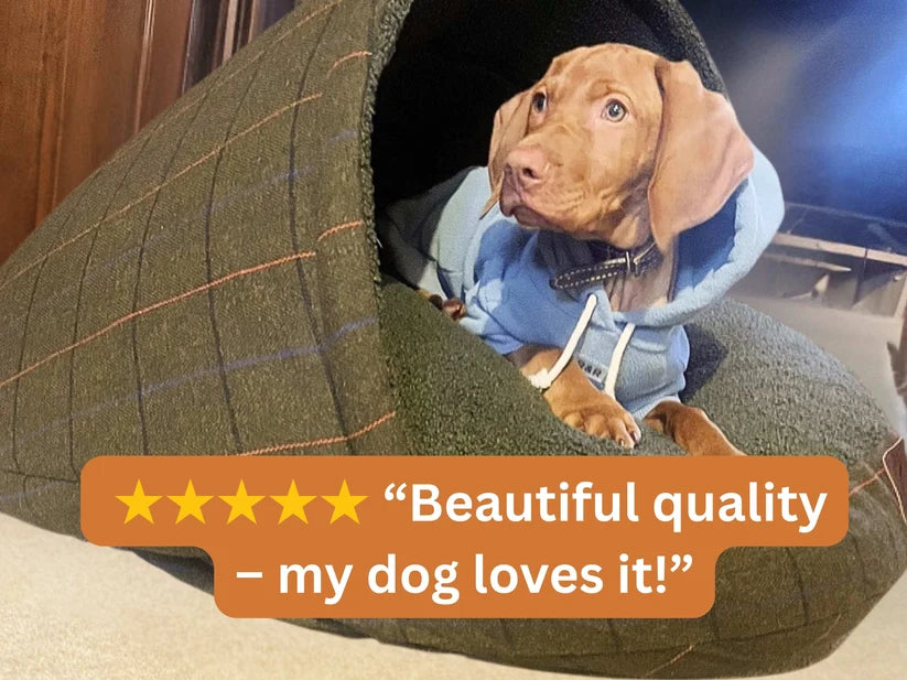 Vizla in a Tweed Dog Cave bed with a  star reivew