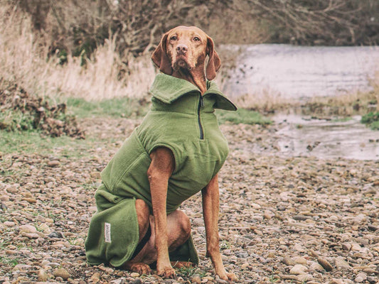 Green Micro fibre drying coat for dogs