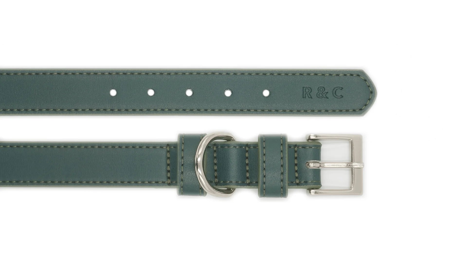 Green leather dog collar with silver buckle on a white background