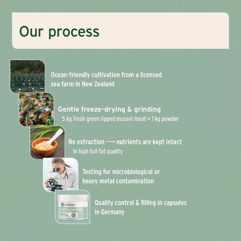 Aniforte green lipped mussel powder production