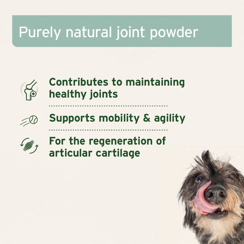Aniforte green lipped mussel powder uses