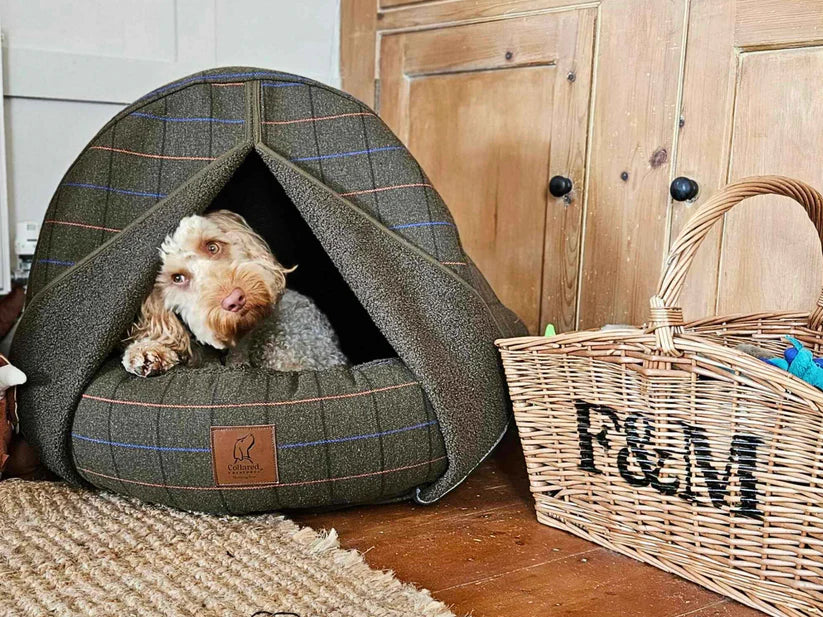 Deluxe Cocoon bed by collared creatures in Tweed Green with brown faux fur