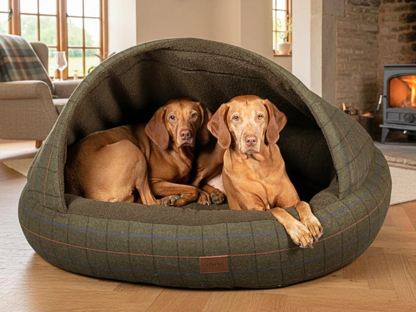 Deluxe cocoon bed by Collared Creatures in tweed Green - Vizla Dog Bed