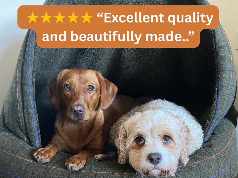 Deluxe Cocoon bed Review