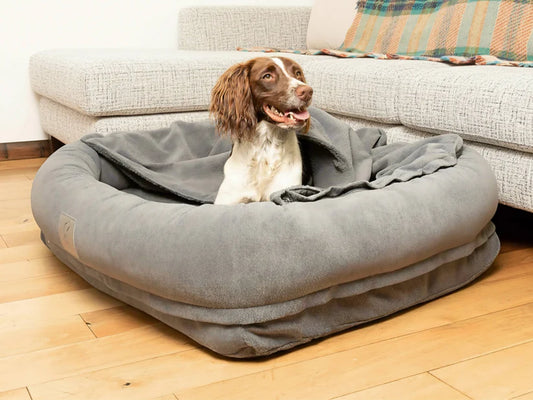 Collared Creatures Bolster Bed