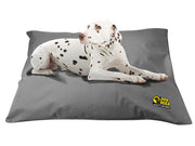 Dog doza waterproof cushion bed foam