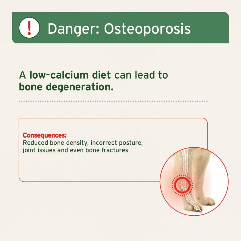 Infographic about osteoporosis with text and a diagram of bones.