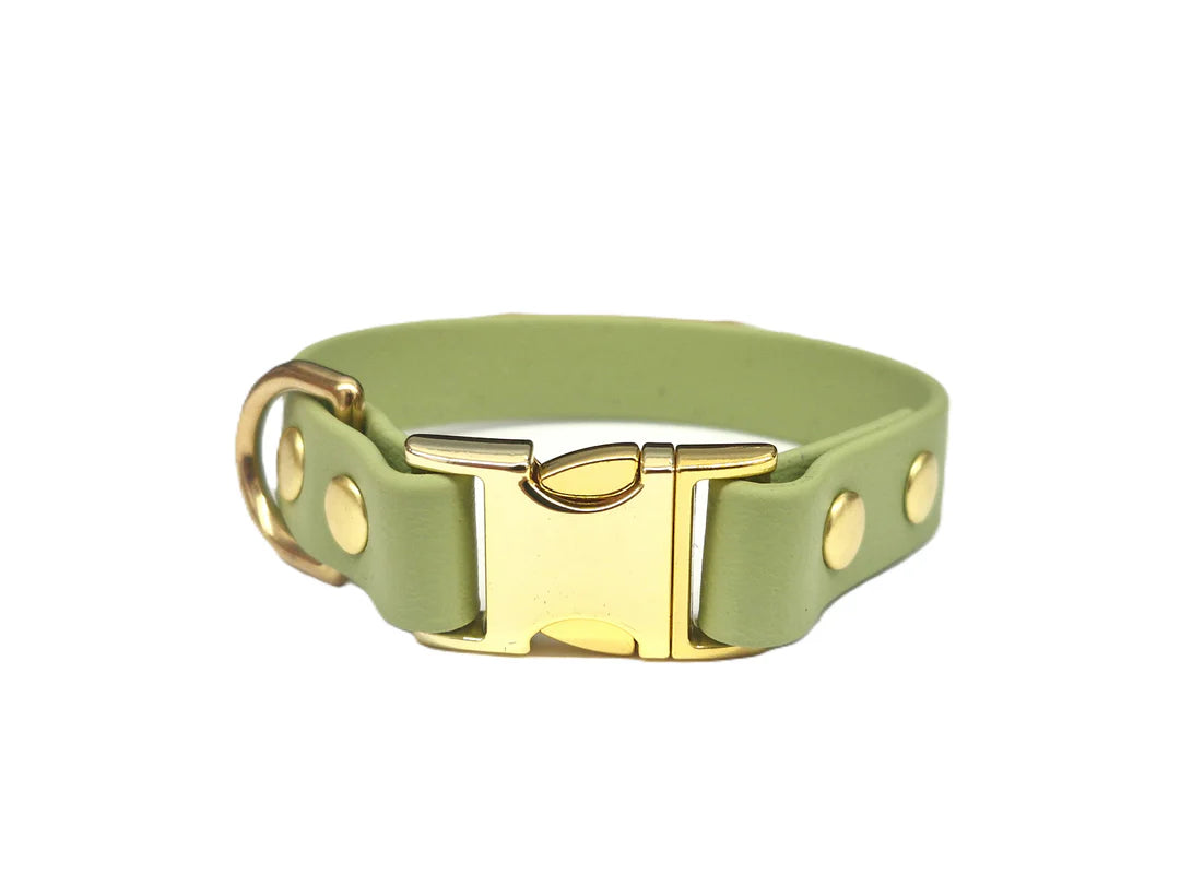 Guacamole Green Toy breed Waterproof  Collar