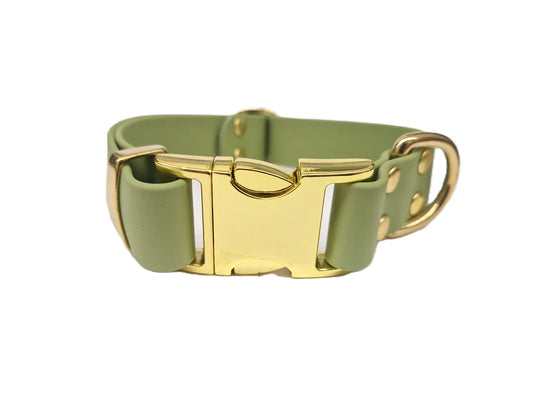 Guacamole Waterproof Metal Clasp Dog Collar