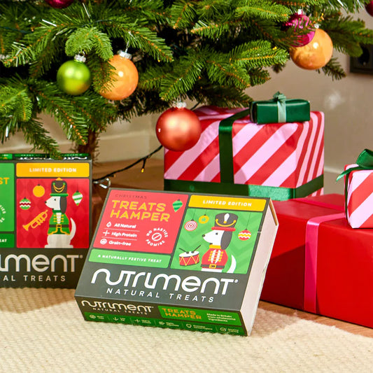 Nutriment treat hamper under a Christmas tree with presents