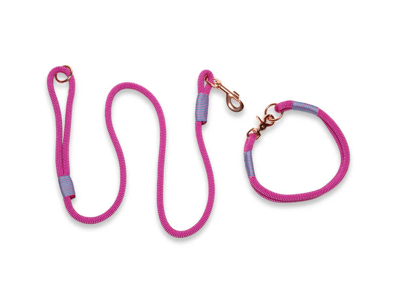 Passion pink rope collar and lead