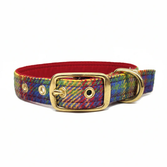Harris Tweed heritage rainbow check buckle collar