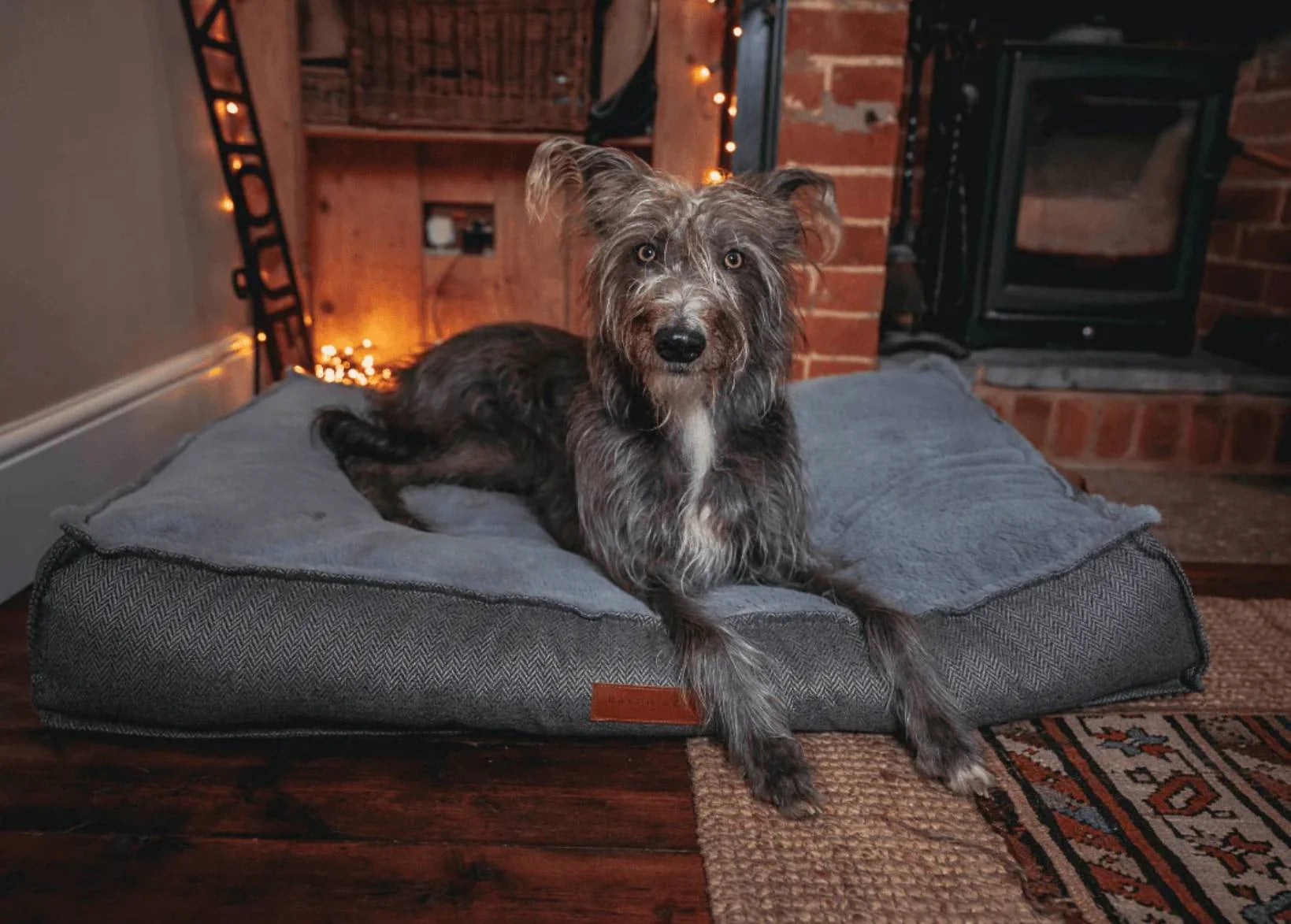 Dog lying on a large gray pet bed in a cozy room with a fireplace.