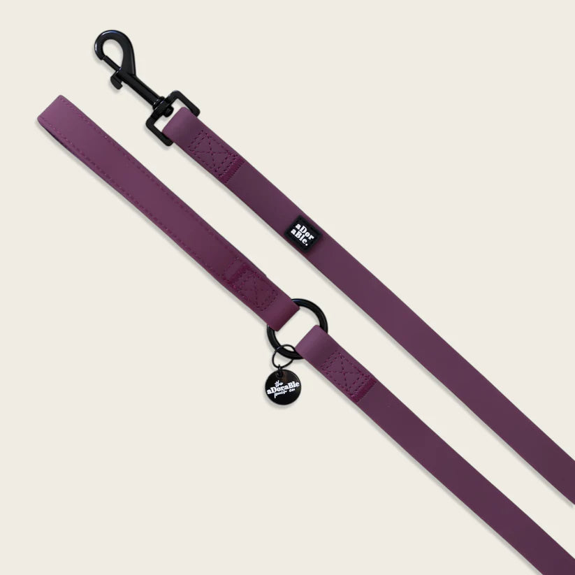 aDoraBle Pooch hydroflex waterproof dog lead purple dusk