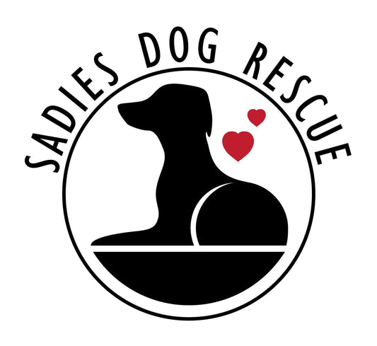 Help a Rescue Dog Today 🐾