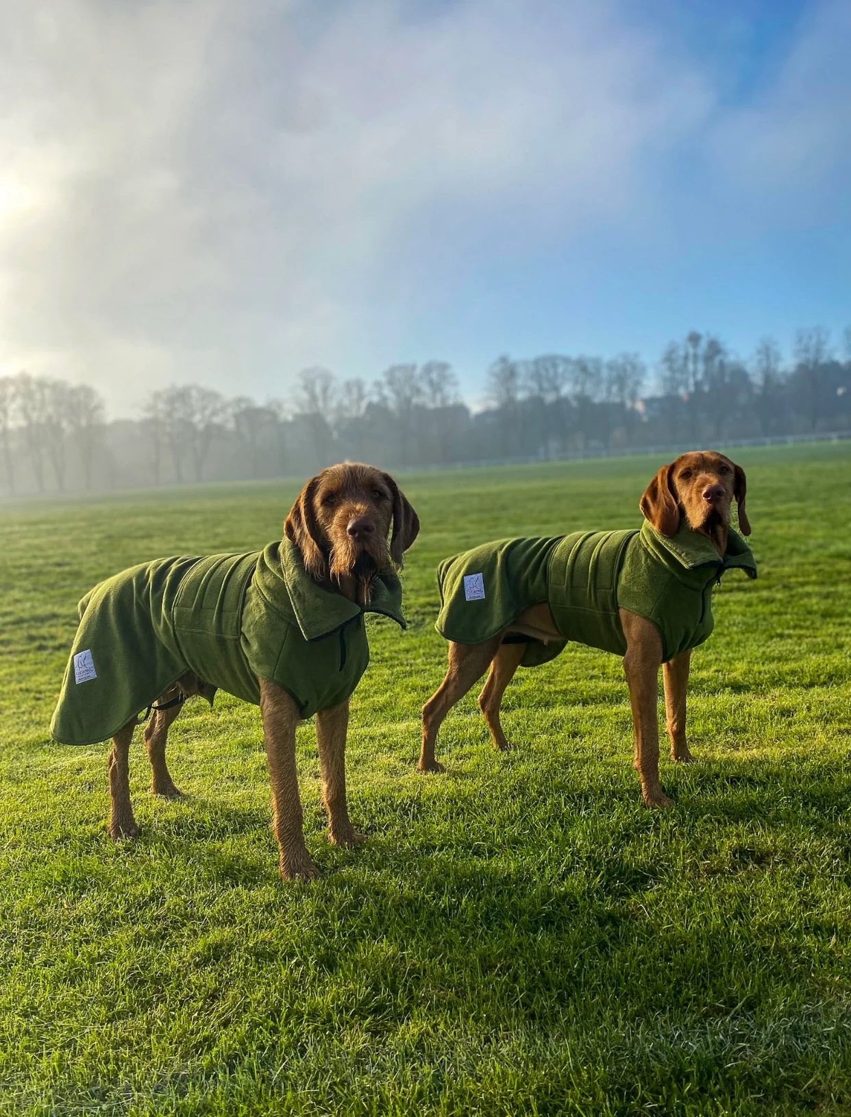 Extra Large Drying Coats