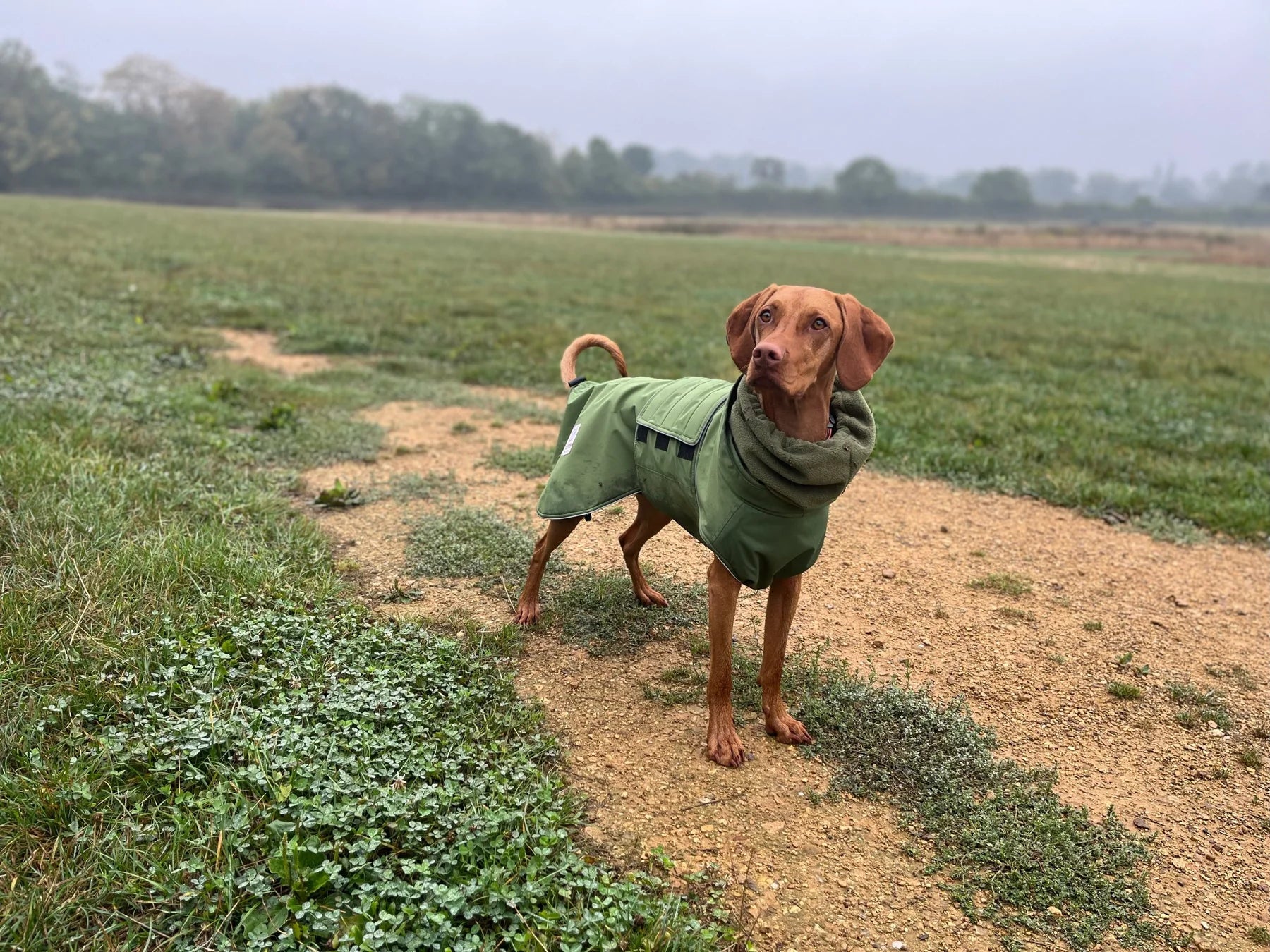 Green Waterproof Dog Coat