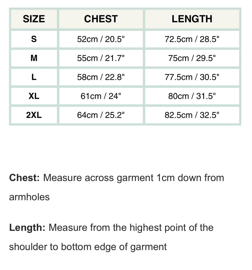 A size measurement chart for a garment listing, showing chest and length measurements by size (S, M, L, XL, 2XL) in centimeters and inches, with brief measurement instructions below on a white background.