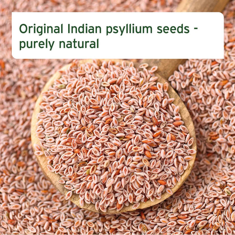 Aniforte indian psyllium seeds source