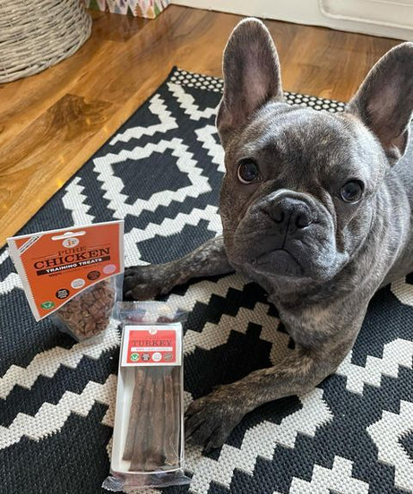 Dog lying on a rug with two packages of chicken training treats in front of it.