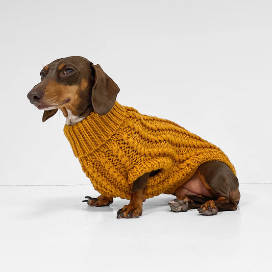 aDoraBle Pooch hand knitted dachshund jumper mustard yellow