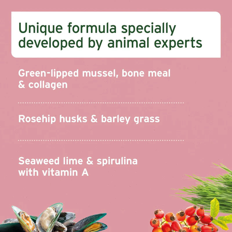 Junior Active Supplement for Puppies & Young Dogs (8 Weeks – 2 Years) key ingredients