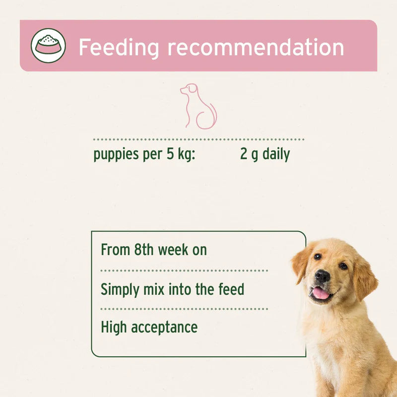 Feeding recommendation for puppies with a pink banner and a dog on a white background