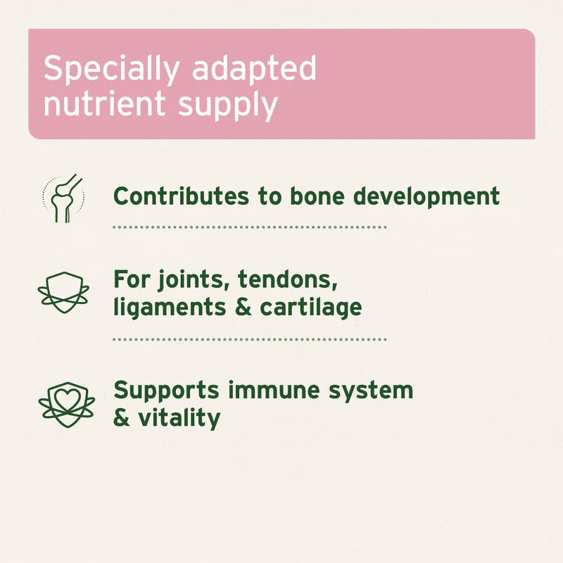 Junior Active Supplement for Puppies & Young Dogs (8 Weeks – 2 Years) benefits 