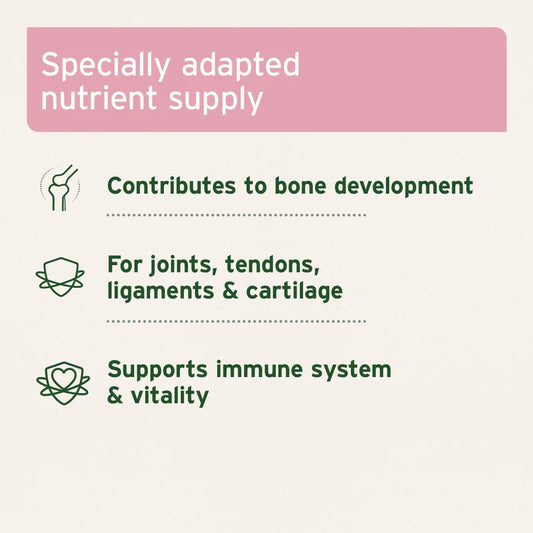 Junior Active Supplement for Puppies & Young Dogs (8 Weeks – 2 Years) benefits 