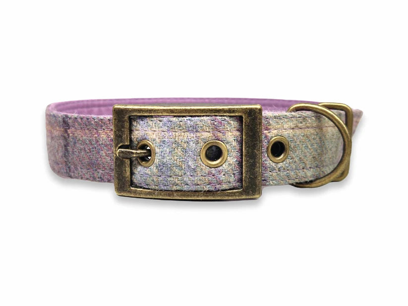 Abraham Moon Kincraig Heather Buckle Dog Collar