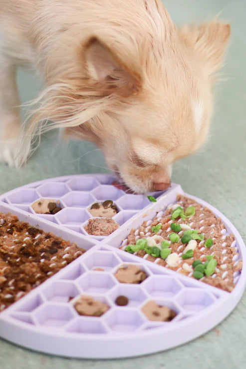 aDoraBle Pooch enrichment lick mat lavender example