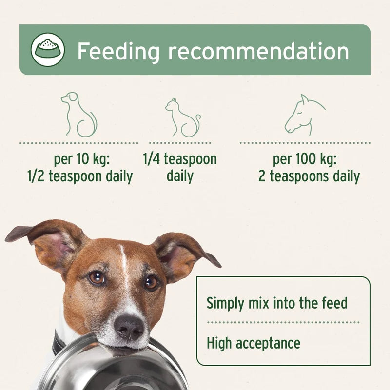 Feeding recommendation infographic for pets, showing a brown and white dog holding a metal bowl at the bottom. The graphic includes line drawings of a dog and a horse, with text specifying daily teaspoon amounts per 10 kg and per 100 kg, on a light beige background with a green header reading 'Feeding recommendation'.