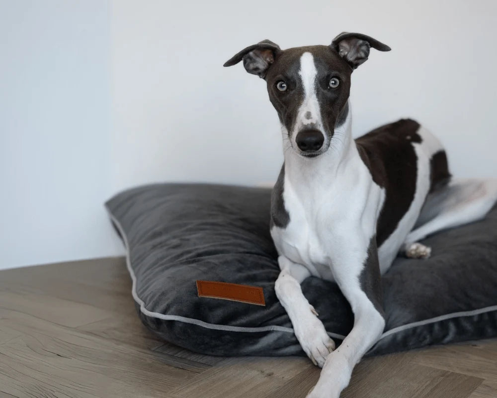 Ralph & Co Memory Foam Dog Crate Mattress 