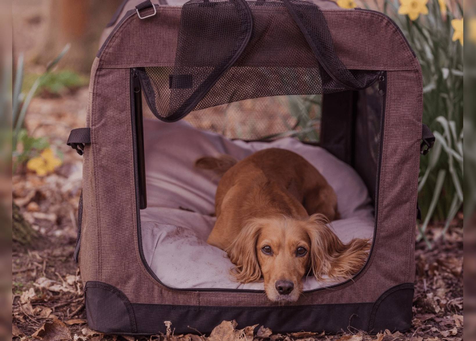 Ralph & Co Luxury Memory Foam Dog Crate Mattress 