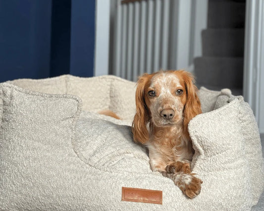 Ralph & Co Cotswold Luxury Boucle High Wall Orthopaedic Dog Bed -Beige