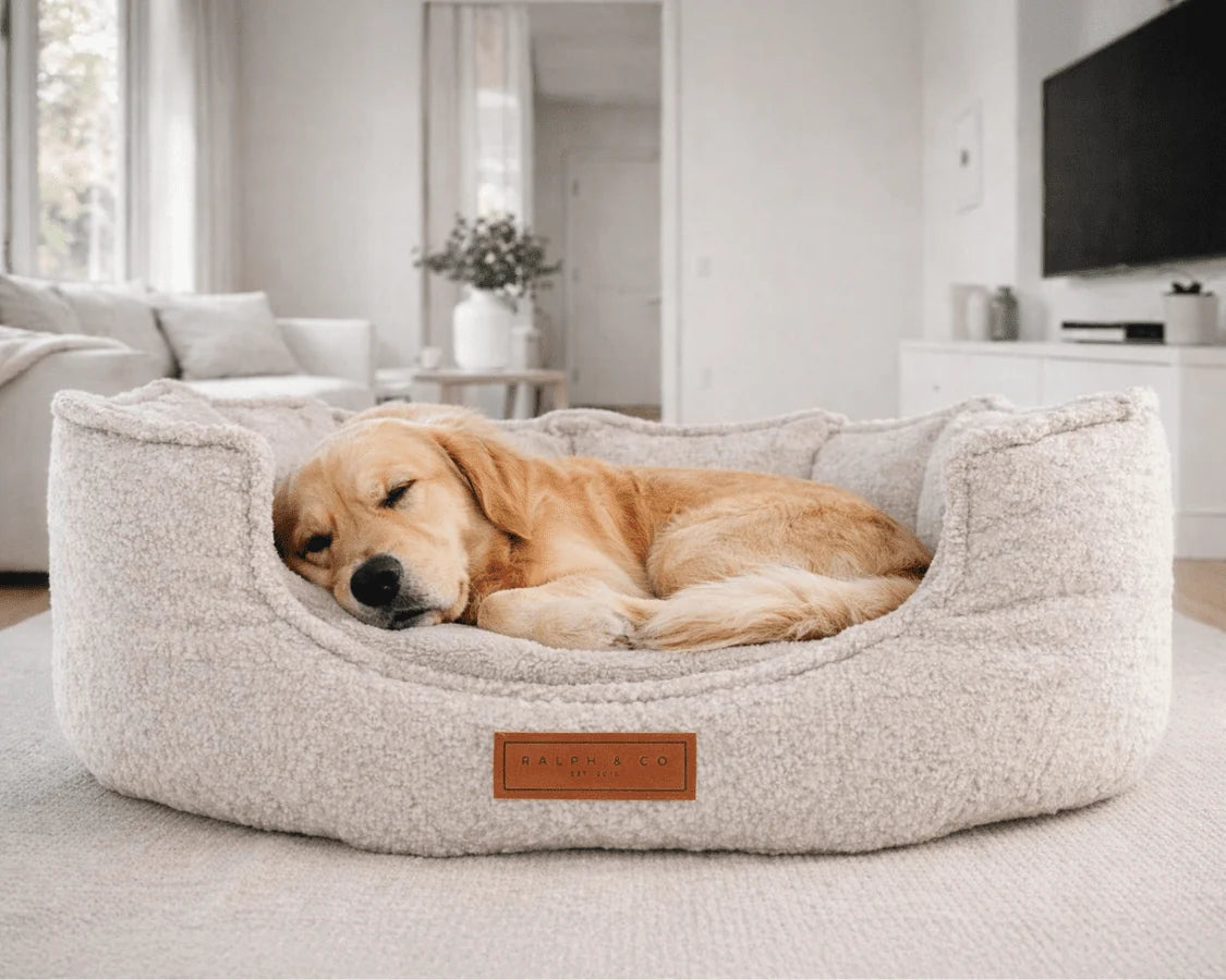 The Cotswold Luxury Boucle High Wall Orthopaedic Beige Dog Bed