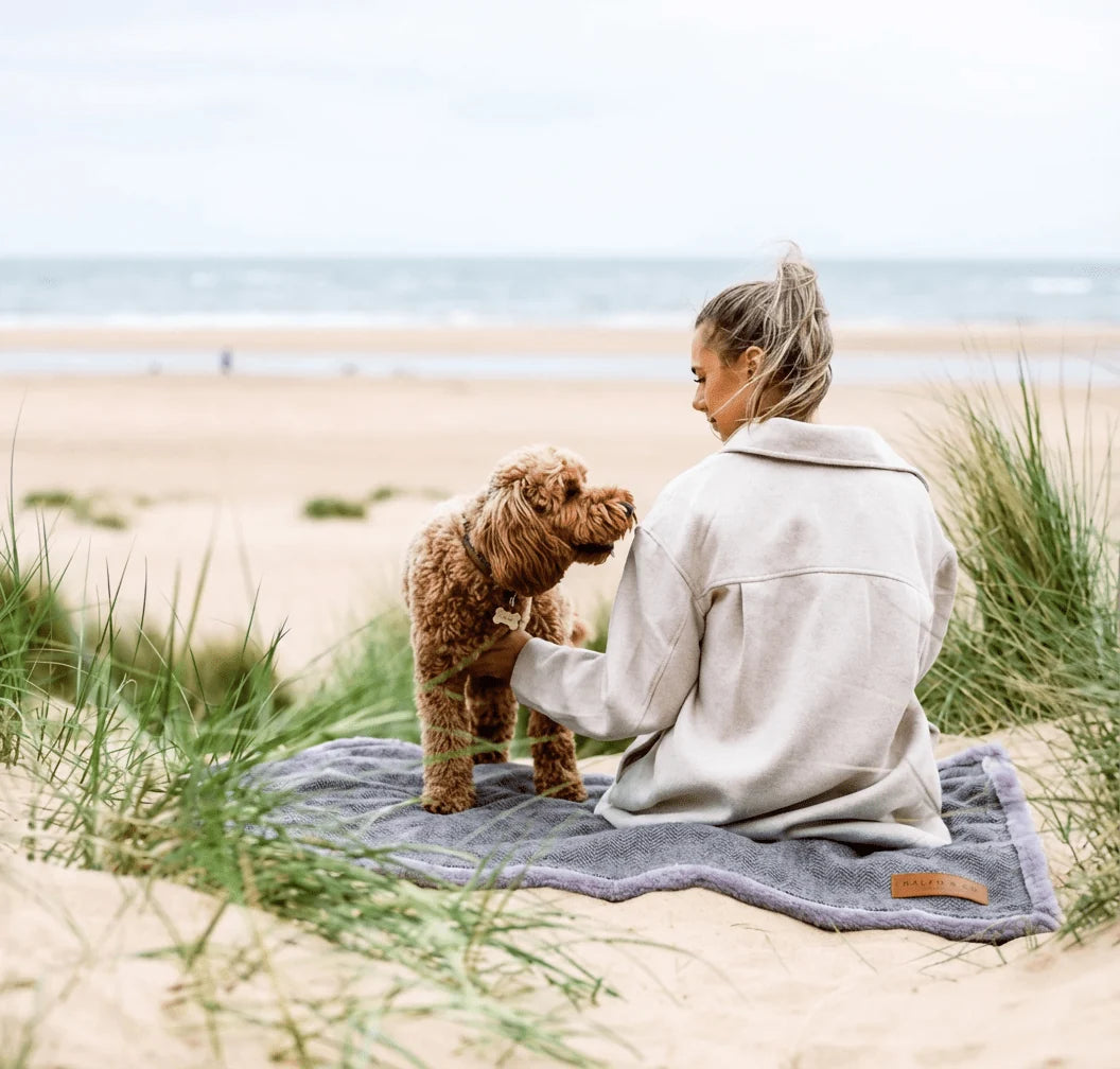 Person sitting on a Ralph & Co Balmoral Grey Tweed Dog Blanket on a beach with a dog 