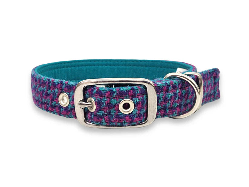 Harris Tweed Magenta Violet Teal Buckle Dog Collar