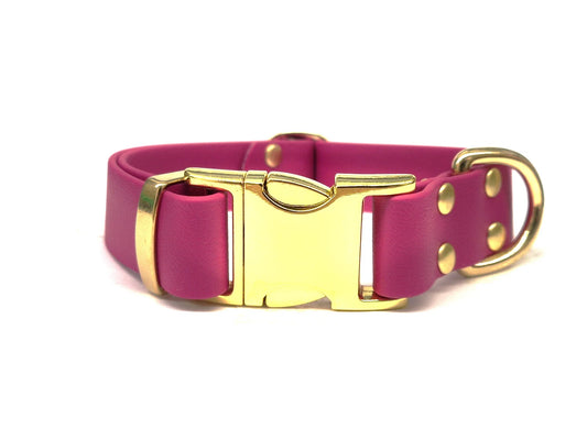 Magenta Waterproof Dog Collar with metal Clasp