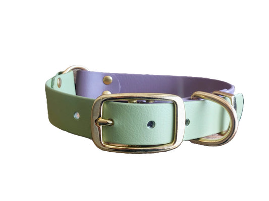 Mauve and guacamole green waterproof dog collar