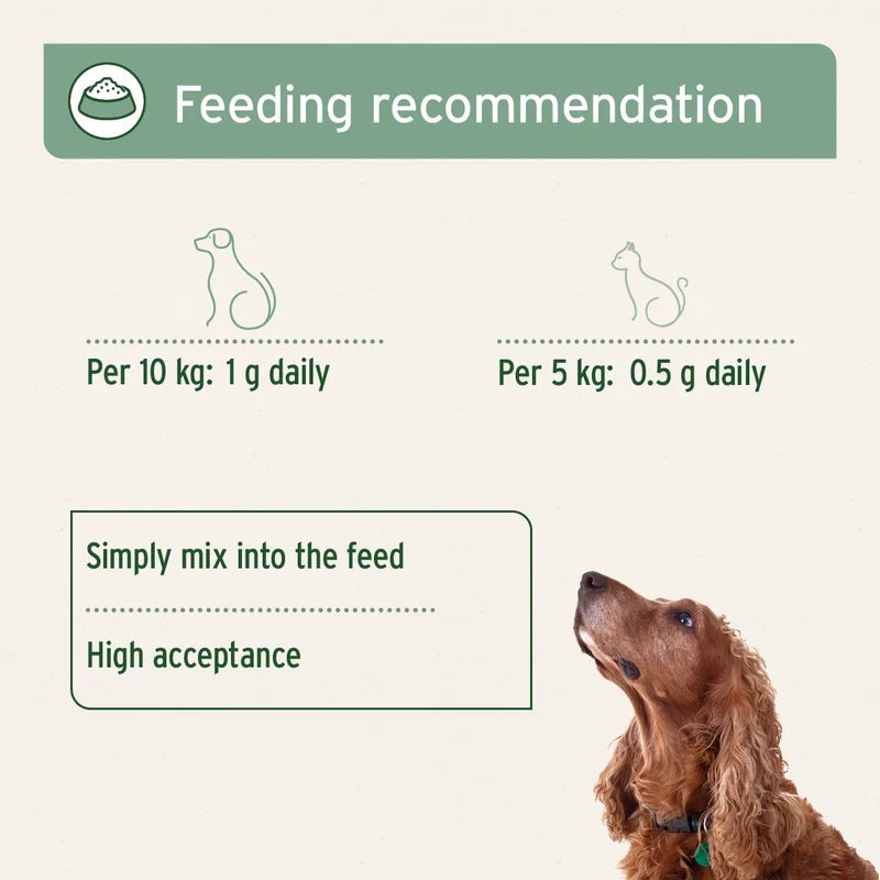 MSM feeding recommendations for Dogs and Cats