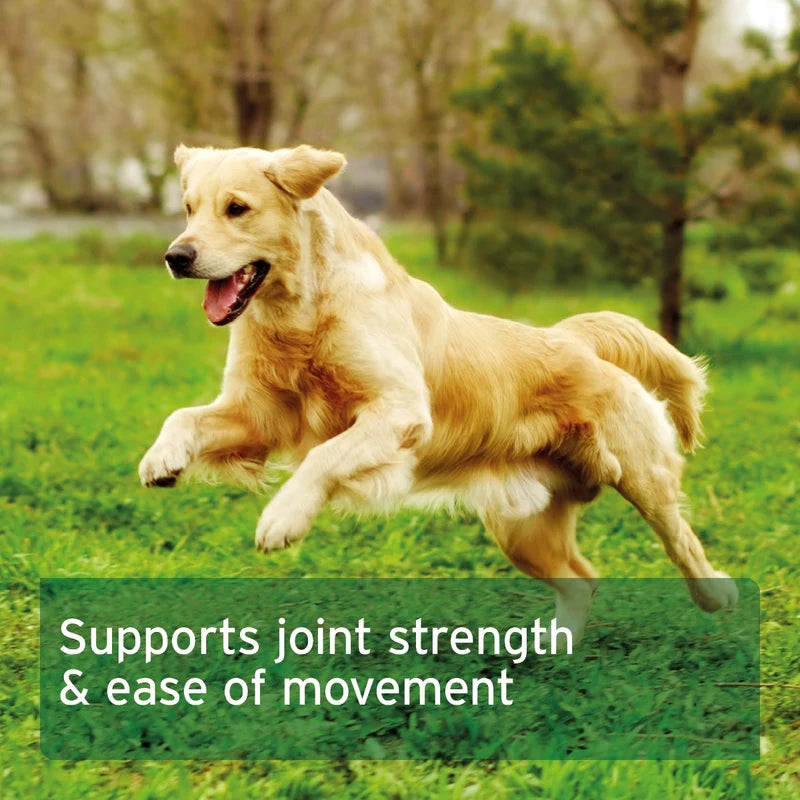 MSM 'Supports joint strength & ease of movement'.