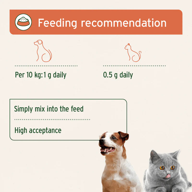 Feeding recommendation chart for dogs and cats with images of a dog and cat.