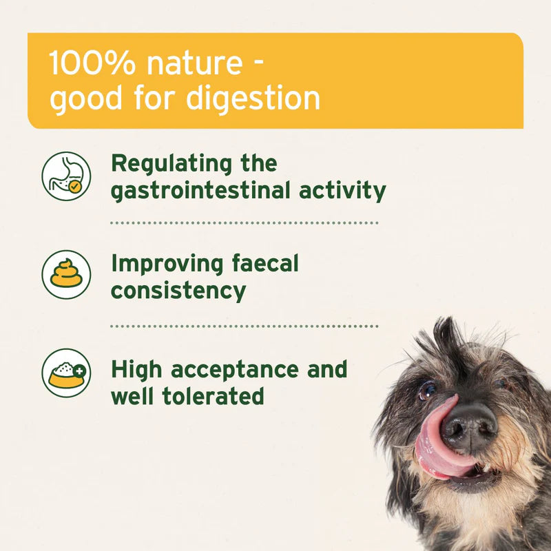 Aniforte natural moor mud properties