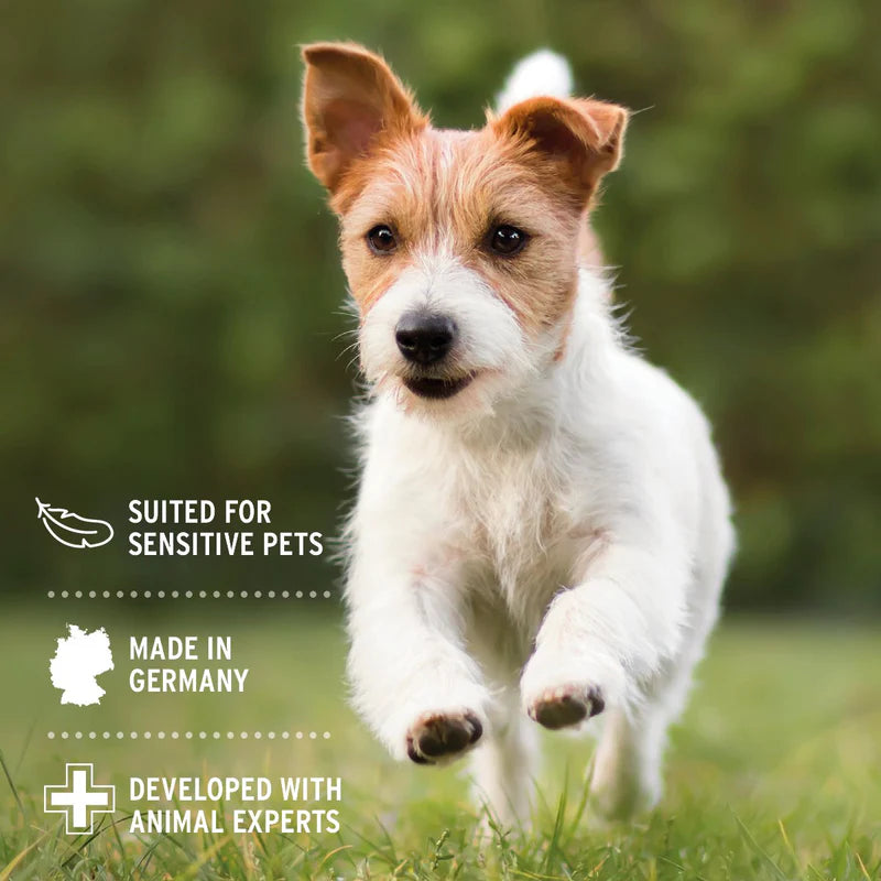 Dog running on grass with product features text overlay - Ears Soothing Suited for sensitive pets
