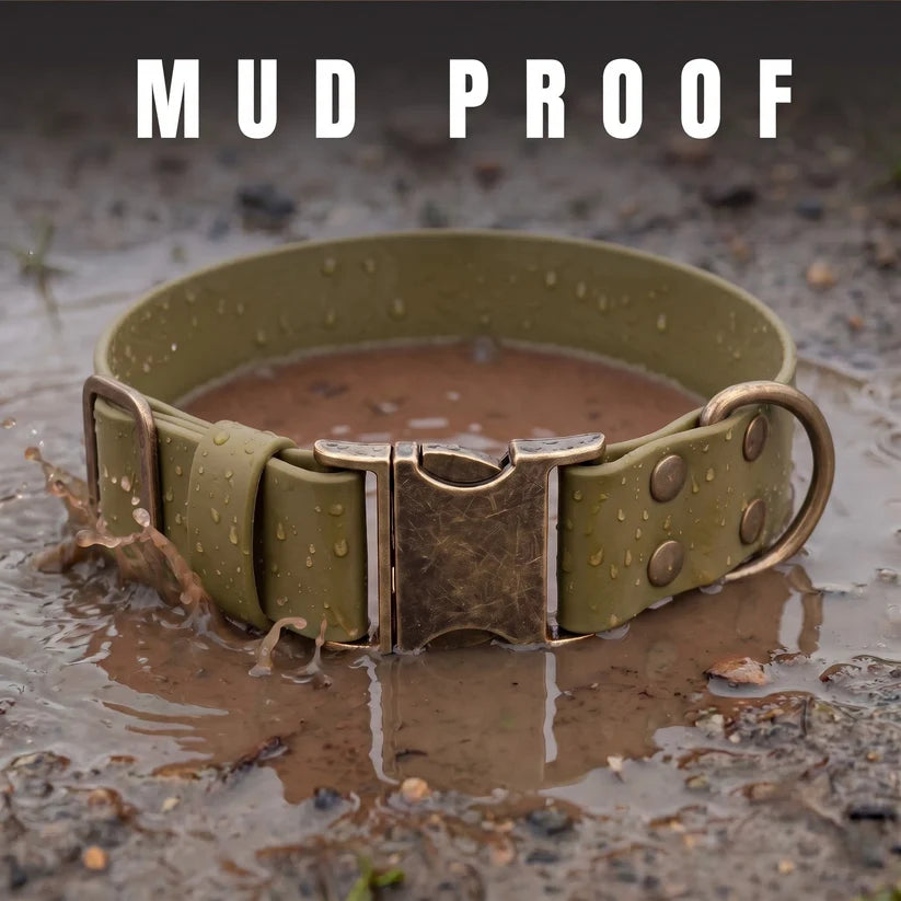 Mud Proof Dog Collars for Giant Breeds